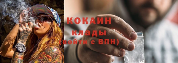 Альфа ПВП Корсаков