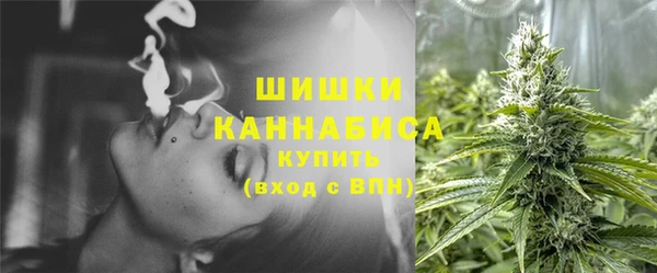 Альфа ПВП Корсаков
