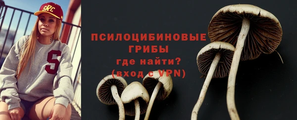 соль курить ск Костерёво