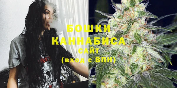 Альфа ПВП Корсаков